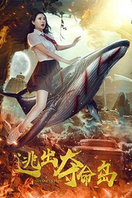 2828视频