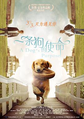 久久精品午夜