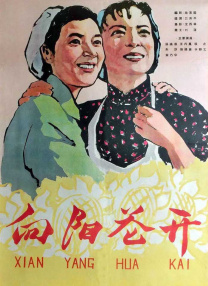 欧美肥胖老太xxx
