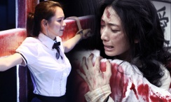 危险的自卫